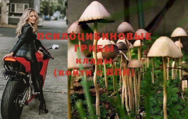 прущая мука Армянск