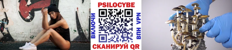 Галлюциногенные грибы мицелий  цена наркотик  Павлово 